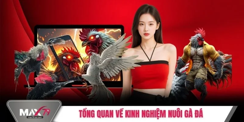 Tổng quan về kinh nghiệm nuôi gà đá