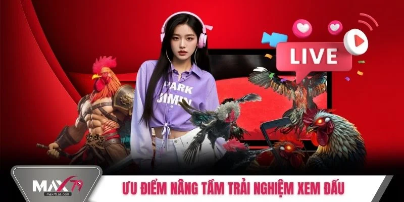 Ưu điểm nâng tầm trải nghiệm xem đấu