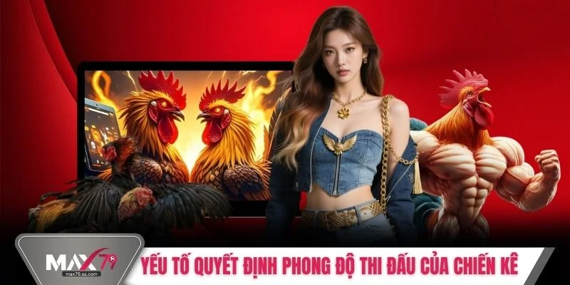 Yếu tố quyết định phong độ thi đấu của chiến kê